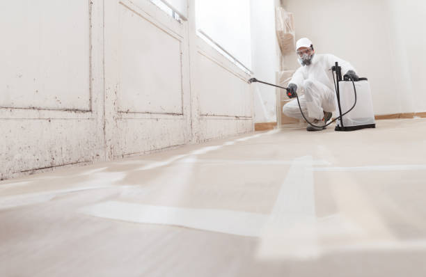 24/7 Emergency Attic Mold Remediation experts in Batavia, NY